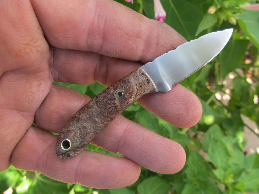 52100mapleneck027.jpg