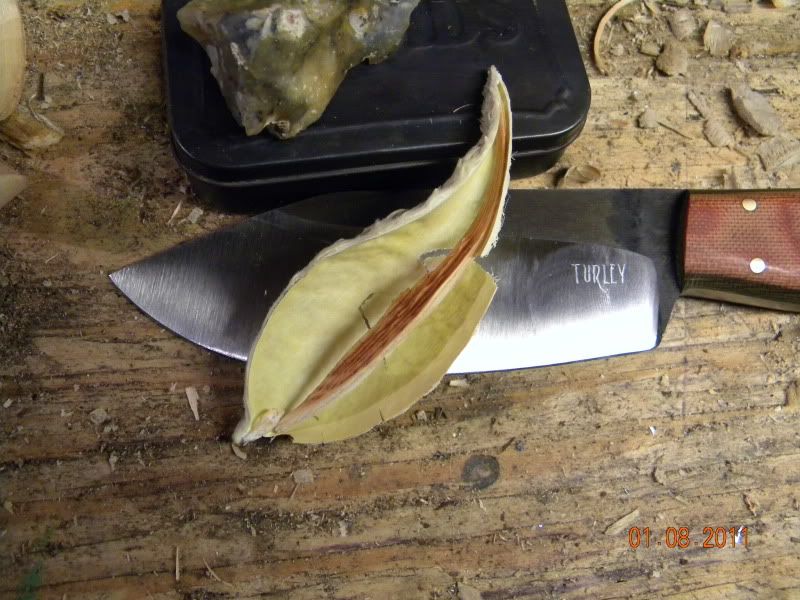 DSCN3292.jpg