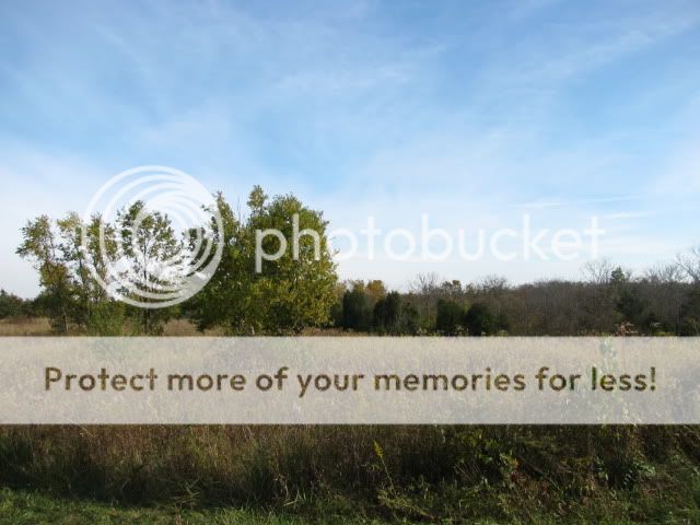 OctoberHike070.jpg