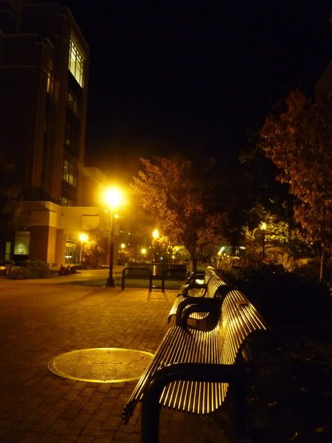 P1020088-1.jpg