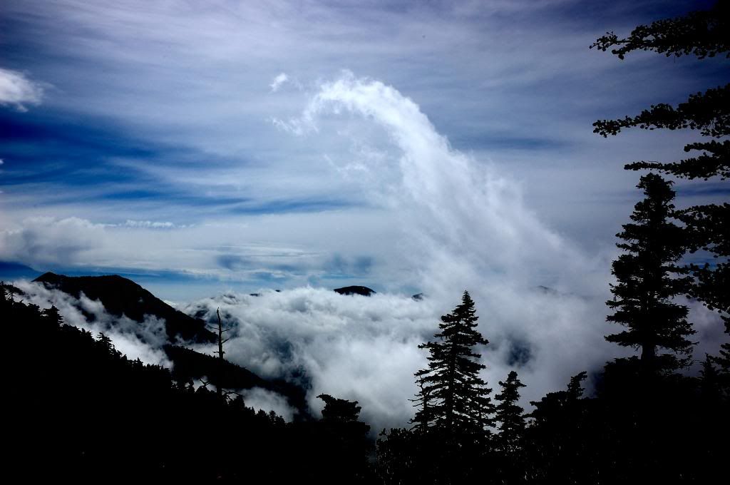 _DSC0114_zps4663bc25.jpg