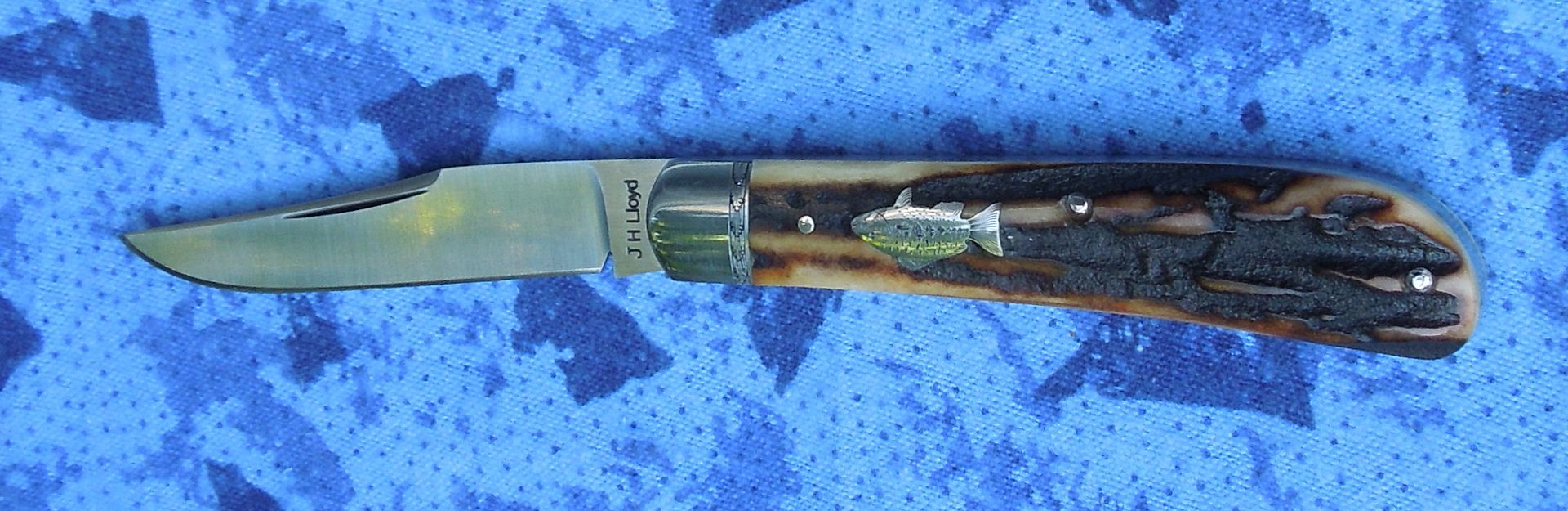 DSCN1941_zps5672c7db.jpg