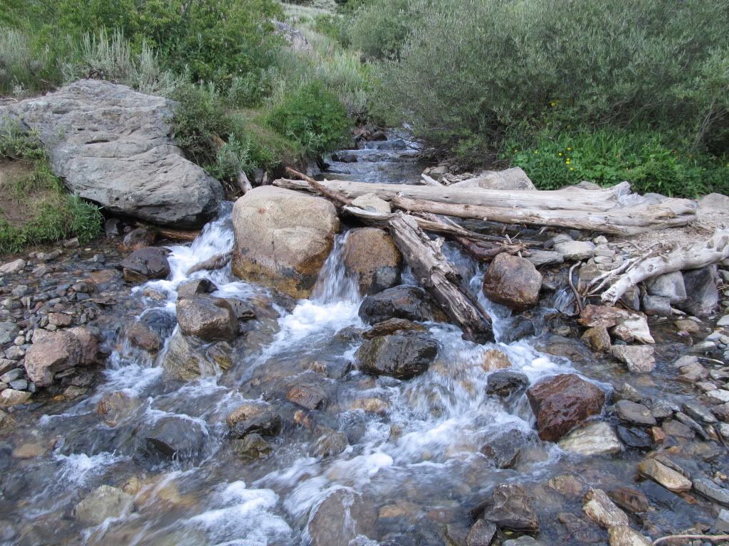 IMG_0392.jpg