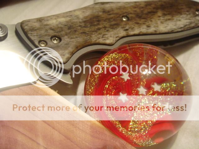 DSC01266.jpg