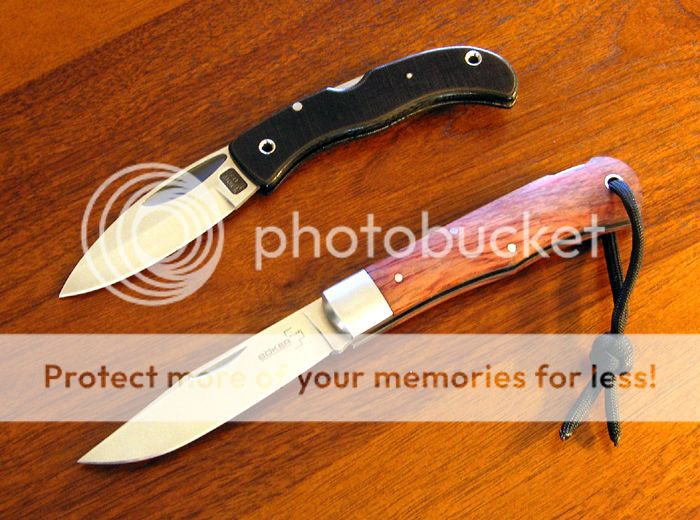 IMG_1588copy_zps7f2a66e2.jpg