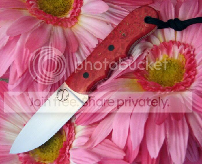 Eleanor_Knife_4028.jpg