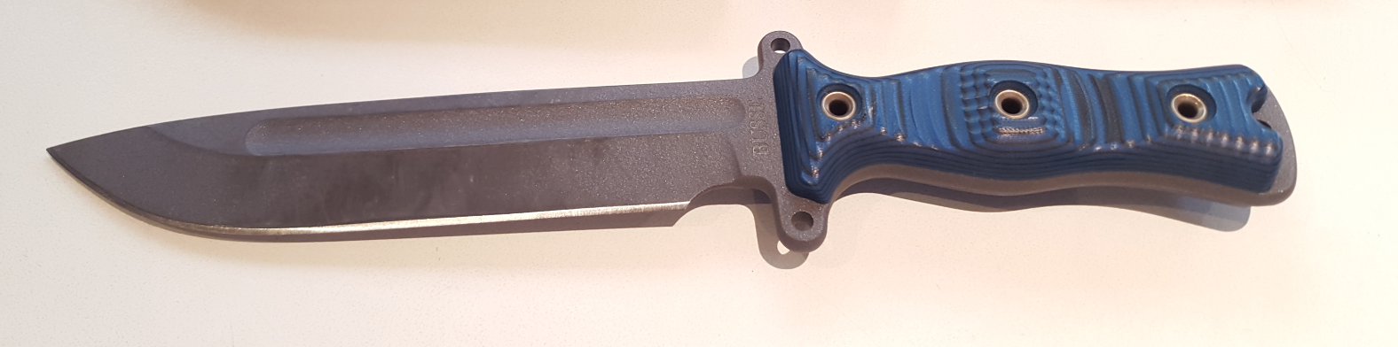 p6689Fl.png