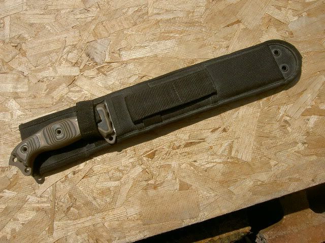 PICT5288.jpg