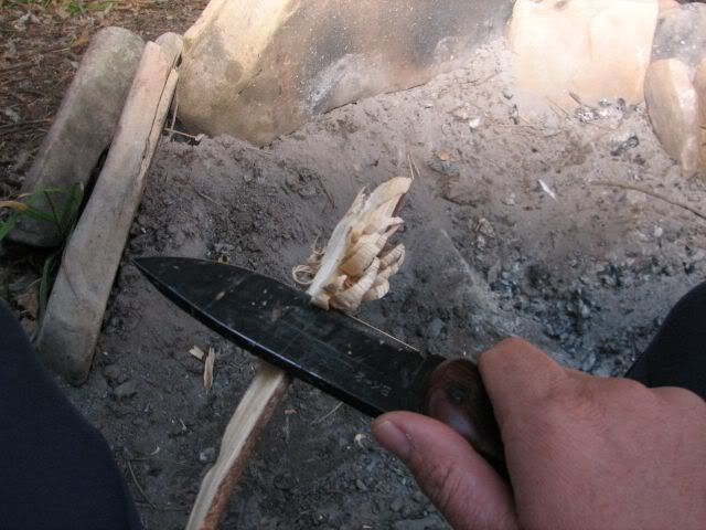 IMG_2312.jpg