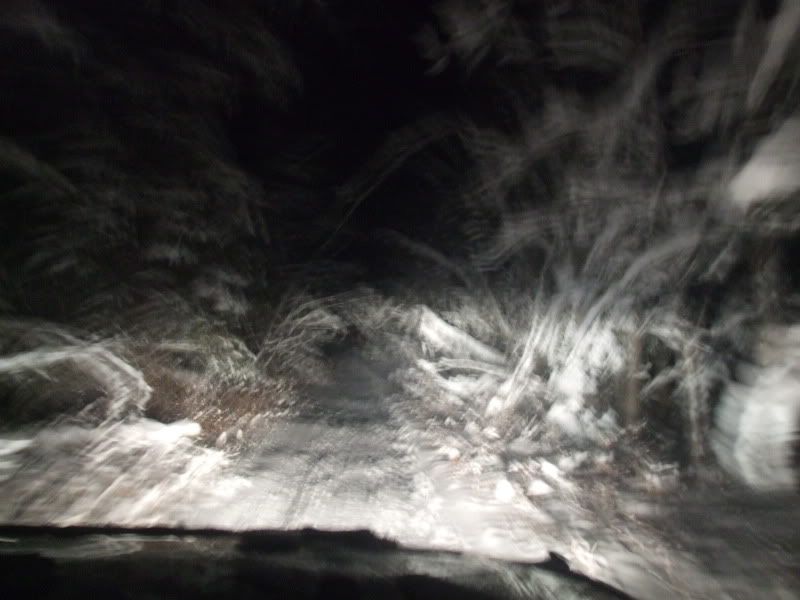 DSCF2378.jpg