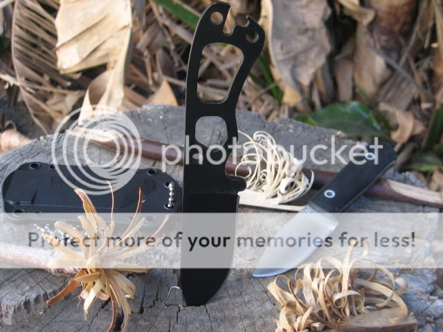 Becker2.jpg