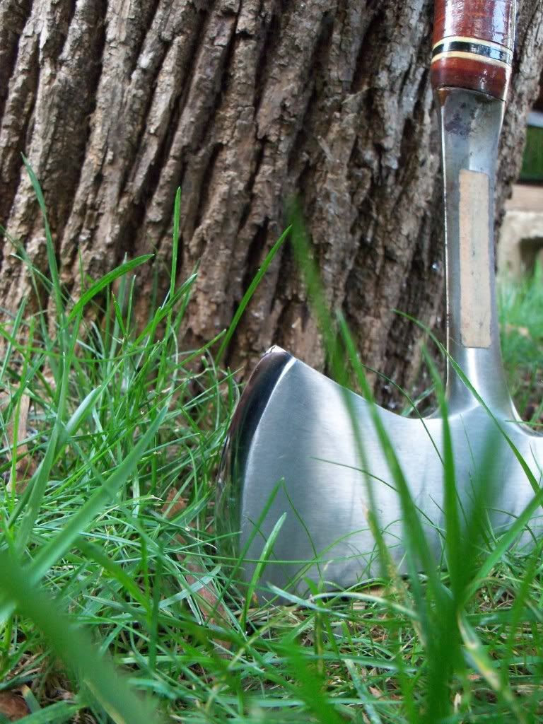 100_0420.jpg