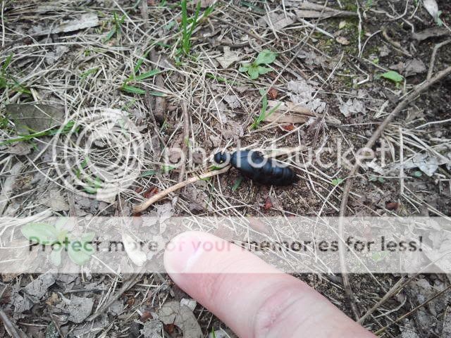 2012-03-25151349.jpg