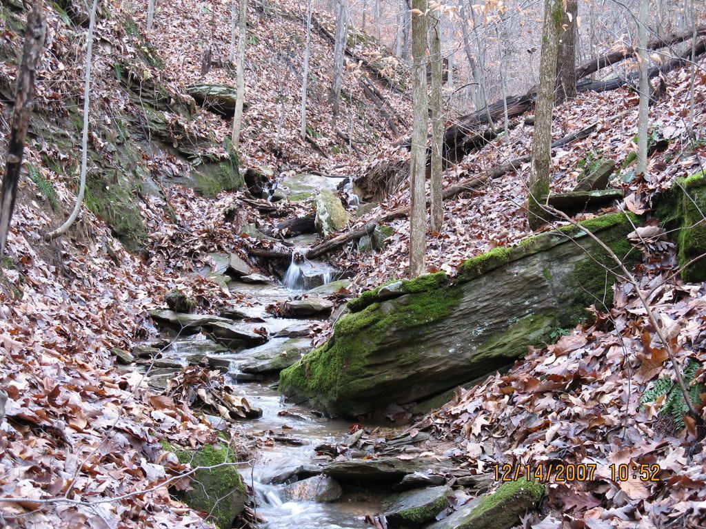 waterfall004.jpg