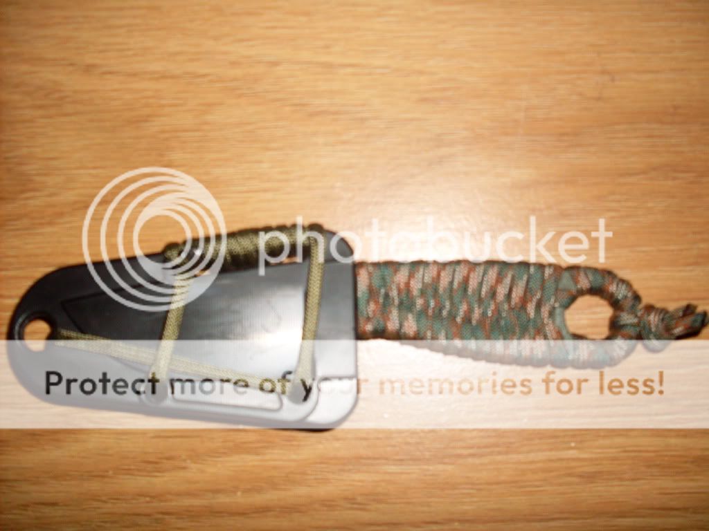 SDC11179.jpg