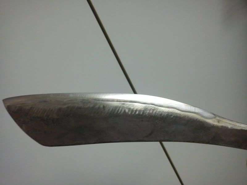 DSC00561-1.jpg