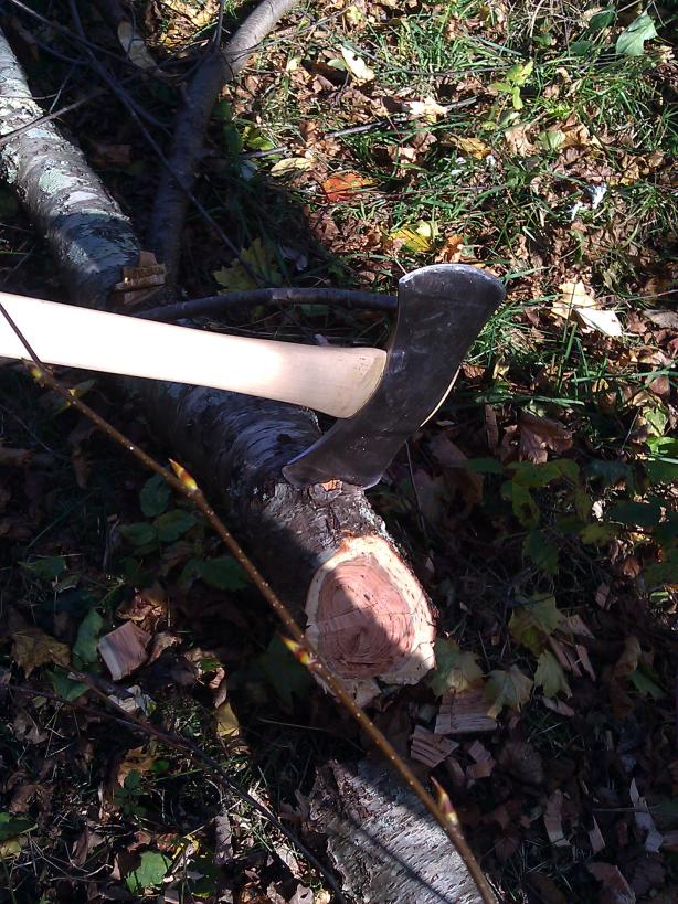 IMG_20121103_130558-small.jpg