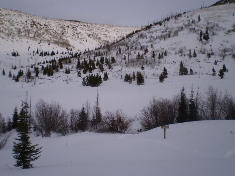 viewoutthefrontdoor_zps2fda22f2.jpg