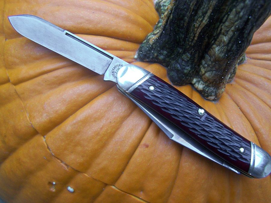 GEC66_Moose_bcjb_01.jpg