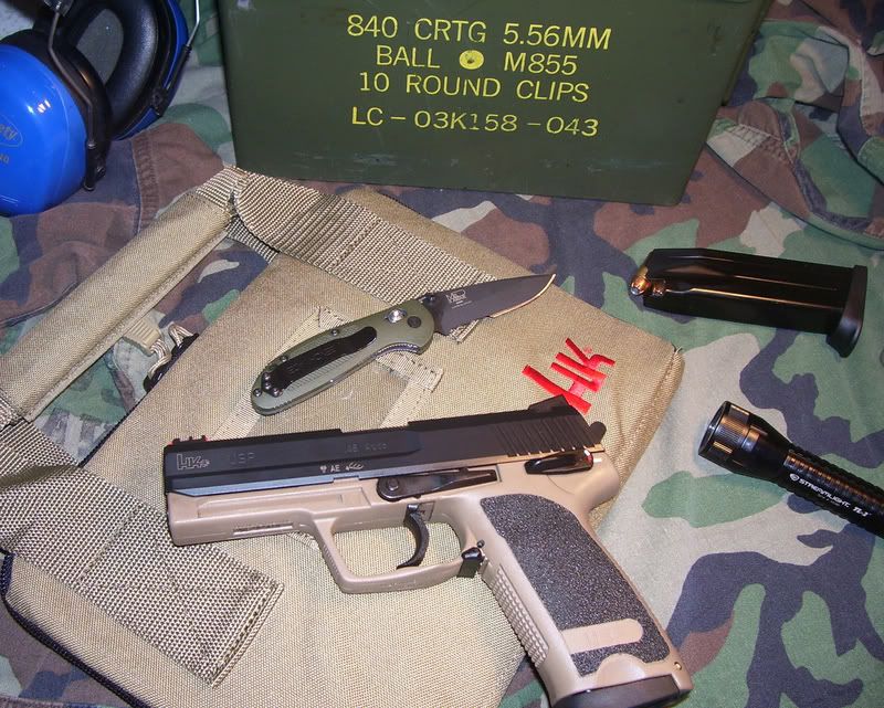 pic1.jpg