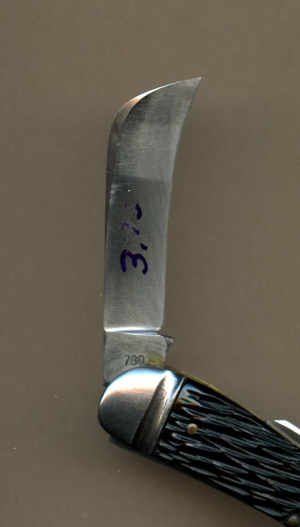 BlackpeachseedSchradeUSA243.jpg