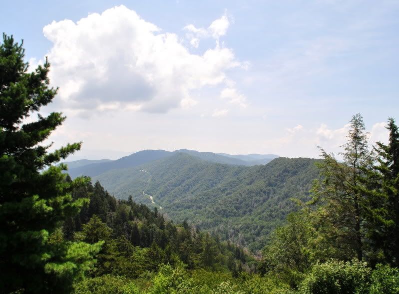 DSC_4853.jpg