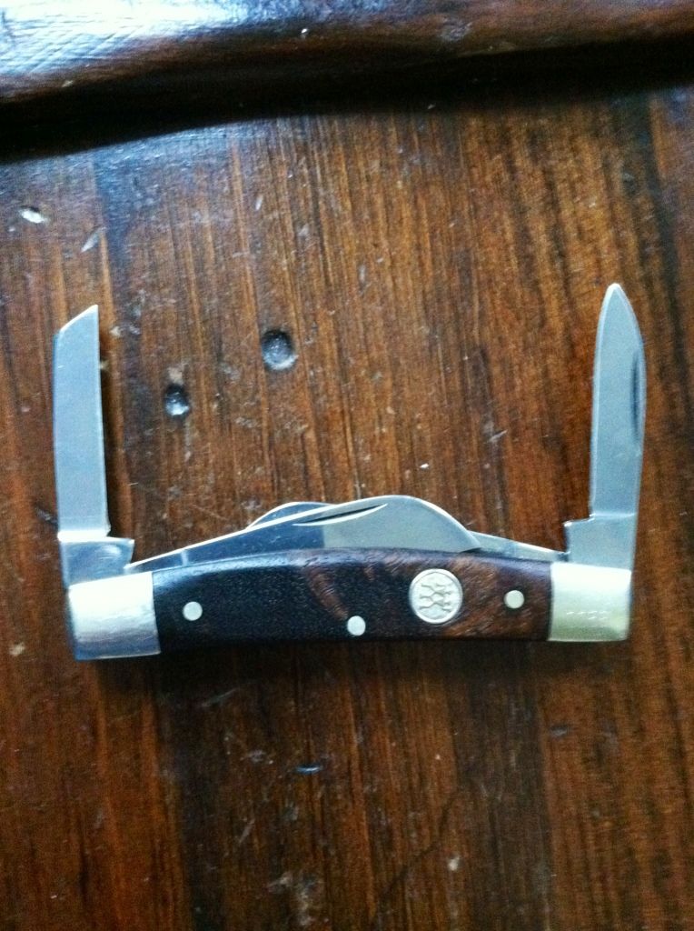 352877ec.jpg
