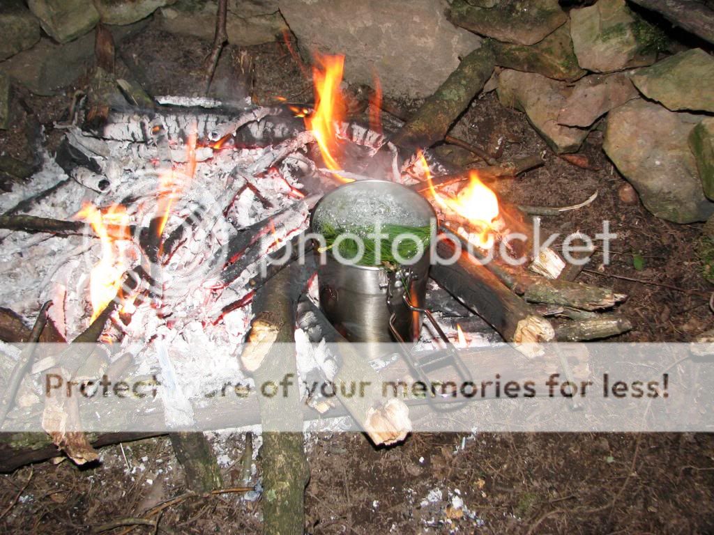 IMG_3389_zps8d04d3ce.jpg