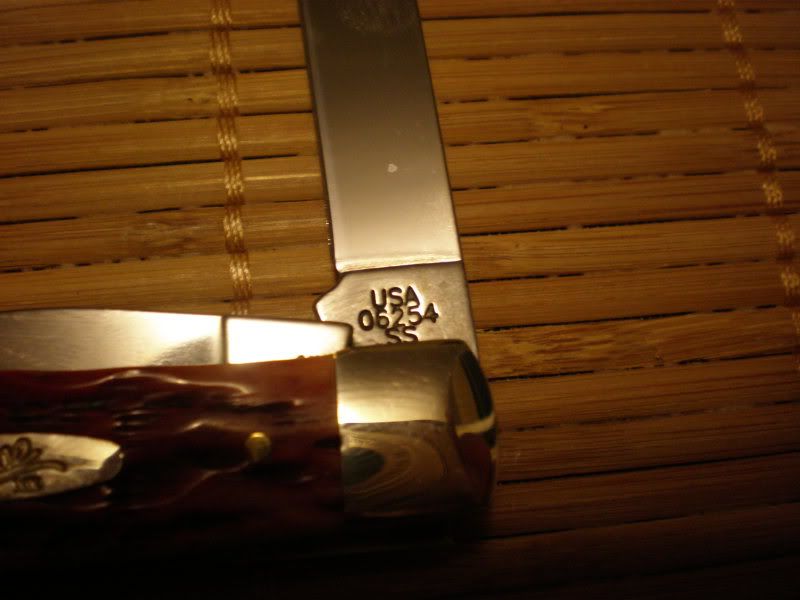 P1010266.jpg