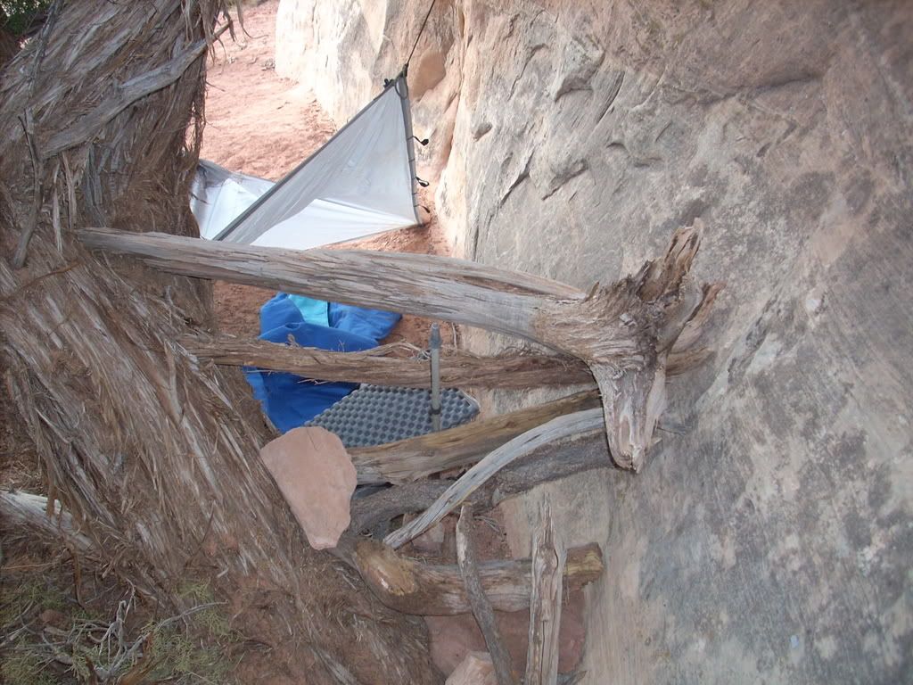 DSCN0770.jpg