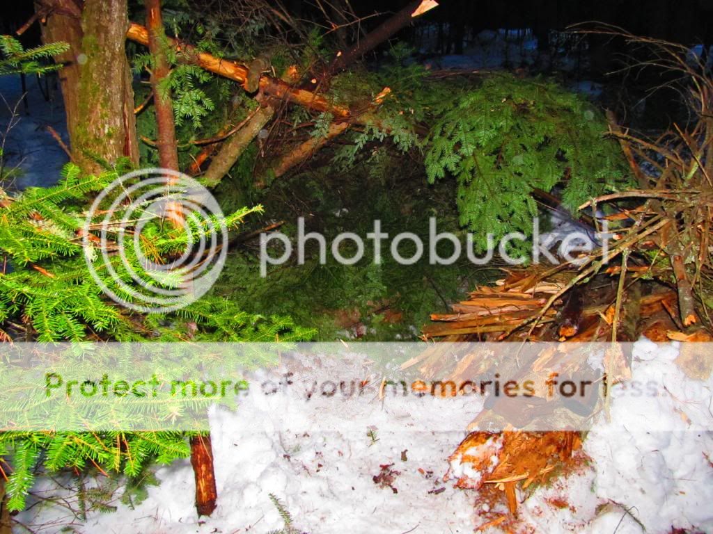 IMG_2270_zpsc90e2ace.jpg