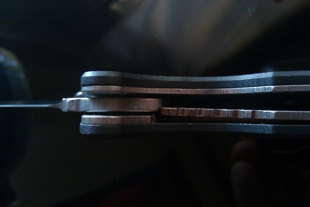 IMAG0456.jpg