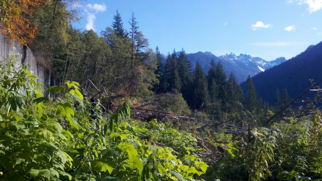 2011-11-05_13-52-01_135.jpg