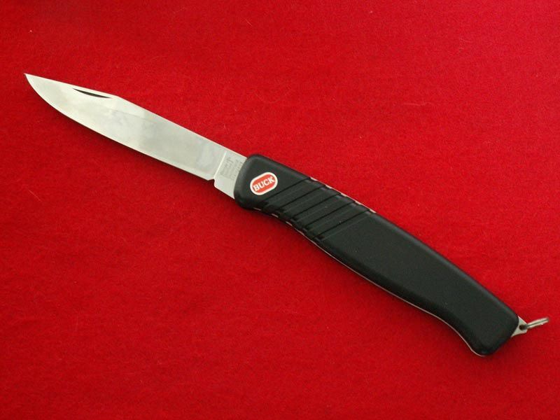 WengerBuck3.jpg