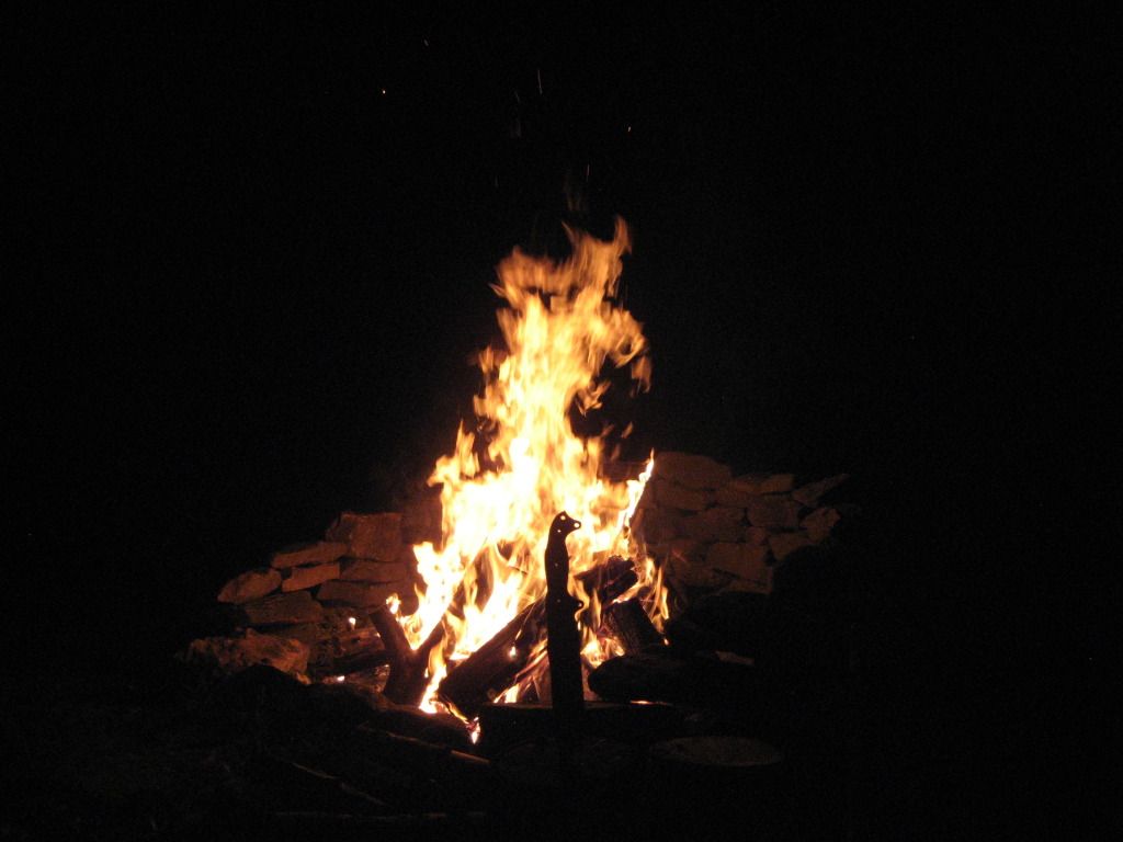 Picture286.jpg
