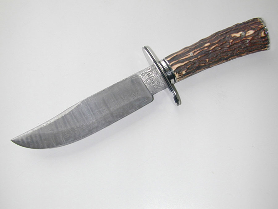 Stag_Bowie.jpg