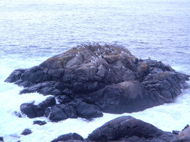 EastSookFall2012012.jpg