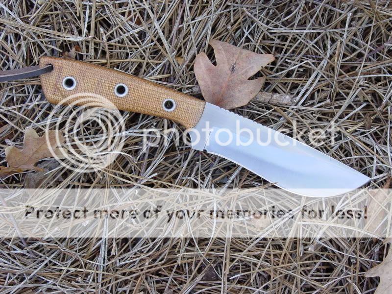 newhoundstoothandrecurve022.jpg