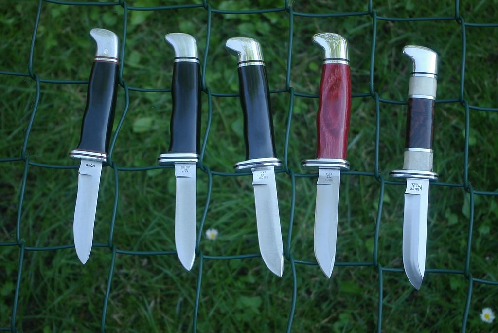 Buck116fuumlnfsenkrecht_zpsu6az91zj.jpg