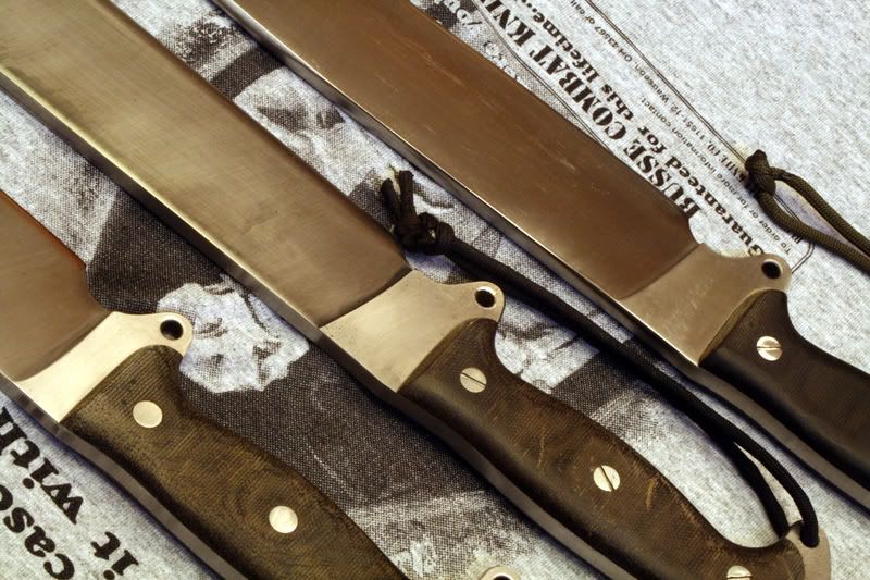 06WASPSHBM1244.jpg