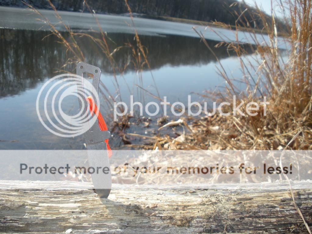 DSCN1824_zps34fbd8a4.jpg