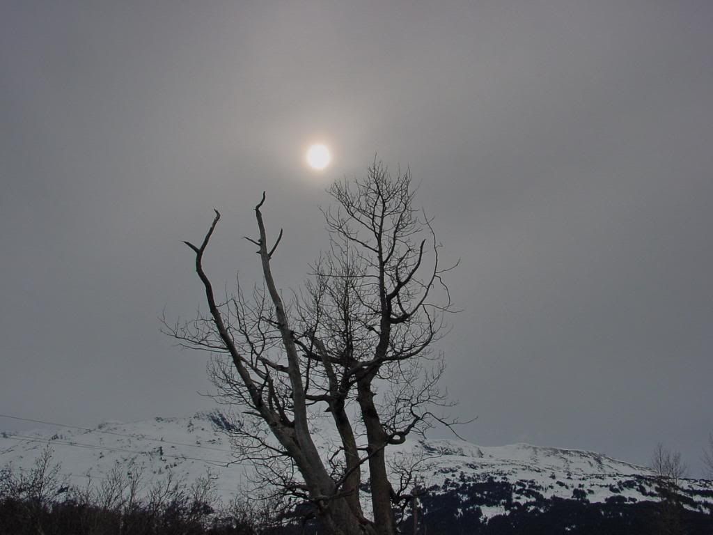 2004-04-2921-30-53_resize.jpg