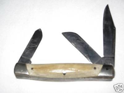 307Stag.jpg