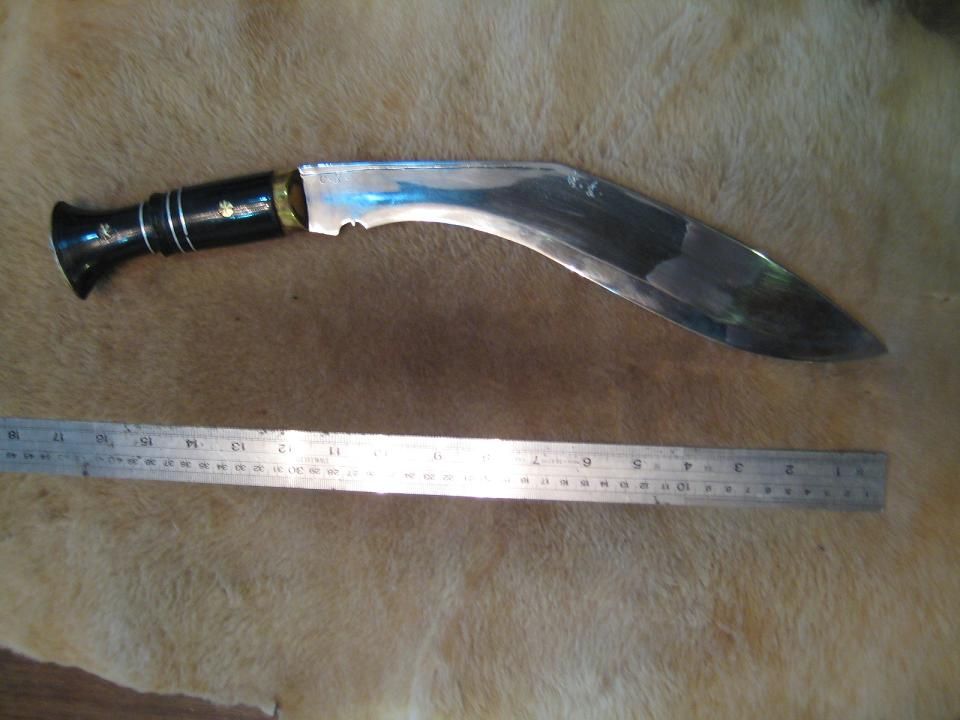 Basdol17.jpg