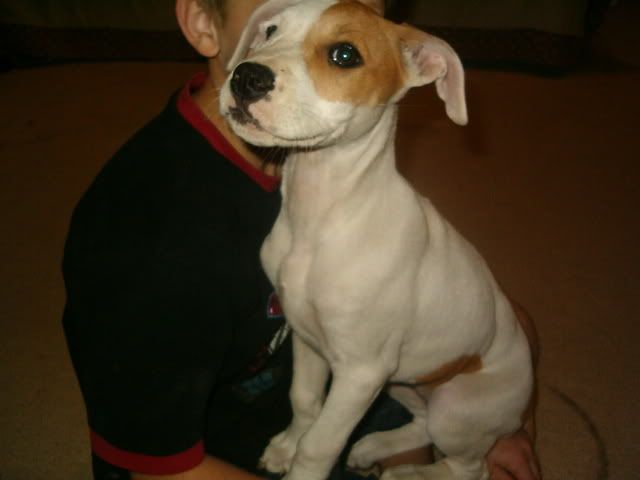LuverSeries2005.jpg