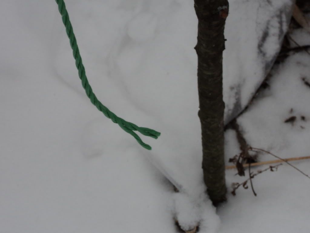 DSC04298.jpg