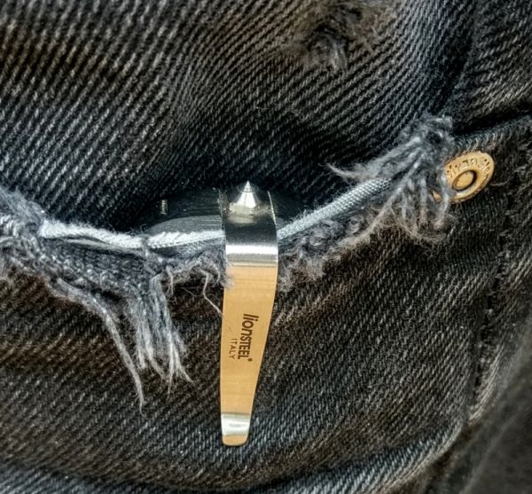 Lionsteel_TM1.jpg