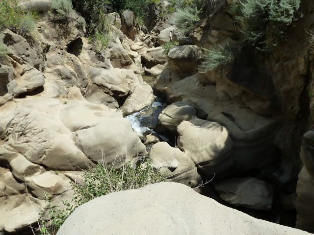 P1000211.jpg