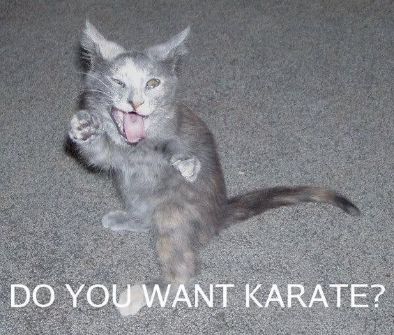 kcat.jpg