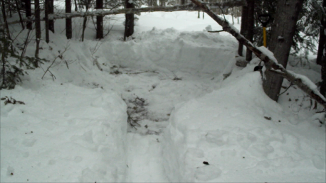dug+out.png